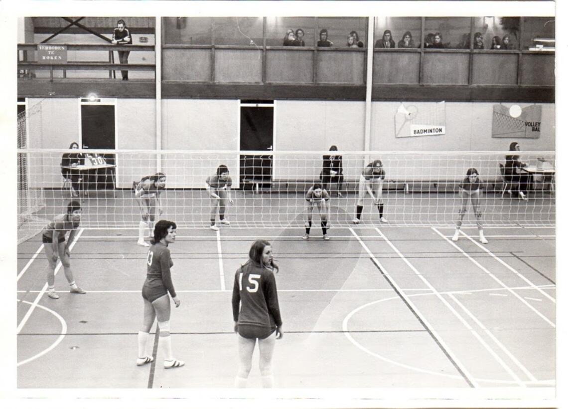 201703 Tovo Historie In De Dreef