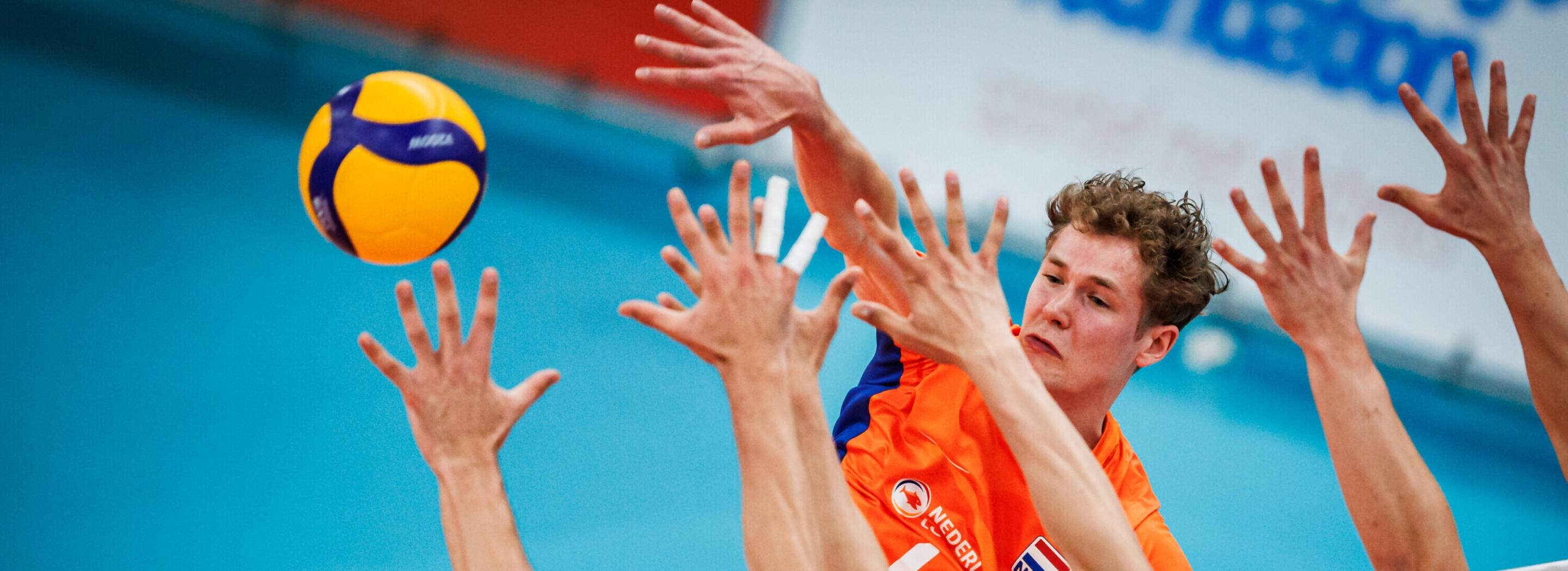 Tom koops oranje