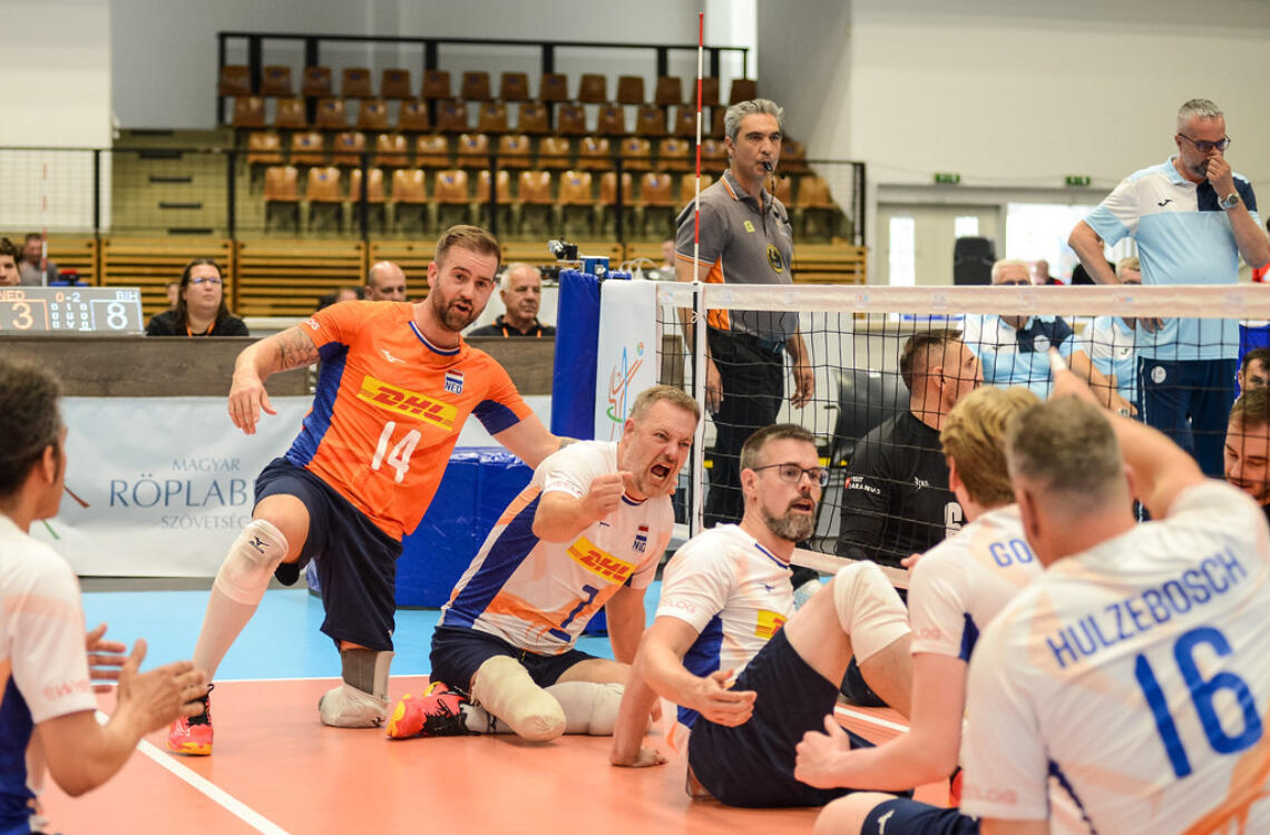 Mannen zitvolleybal