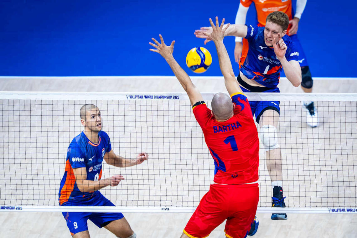 Korenblek ned polen