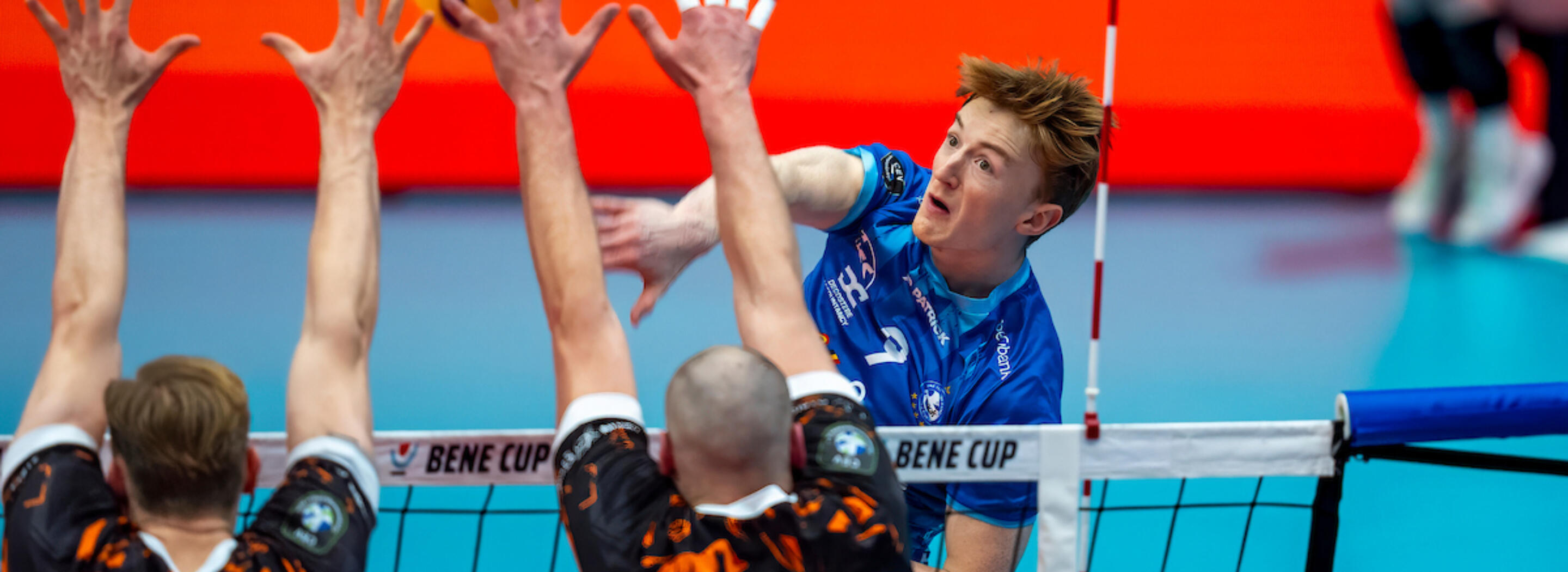 20251228 ori roe R2 04090