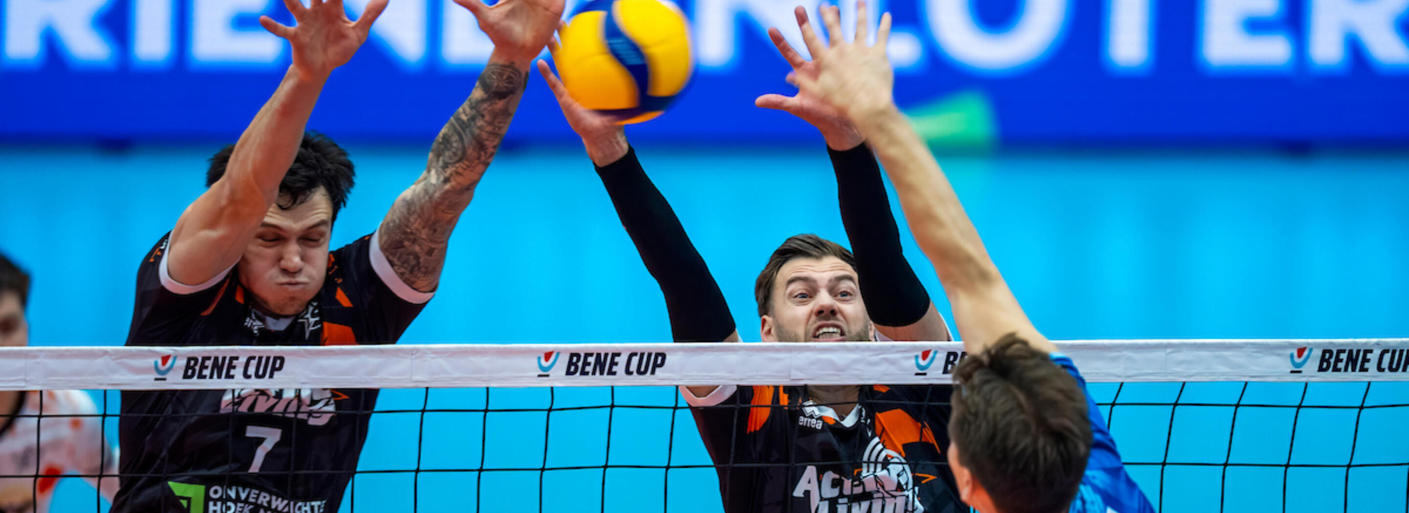 20251228 ori roe R2 04203