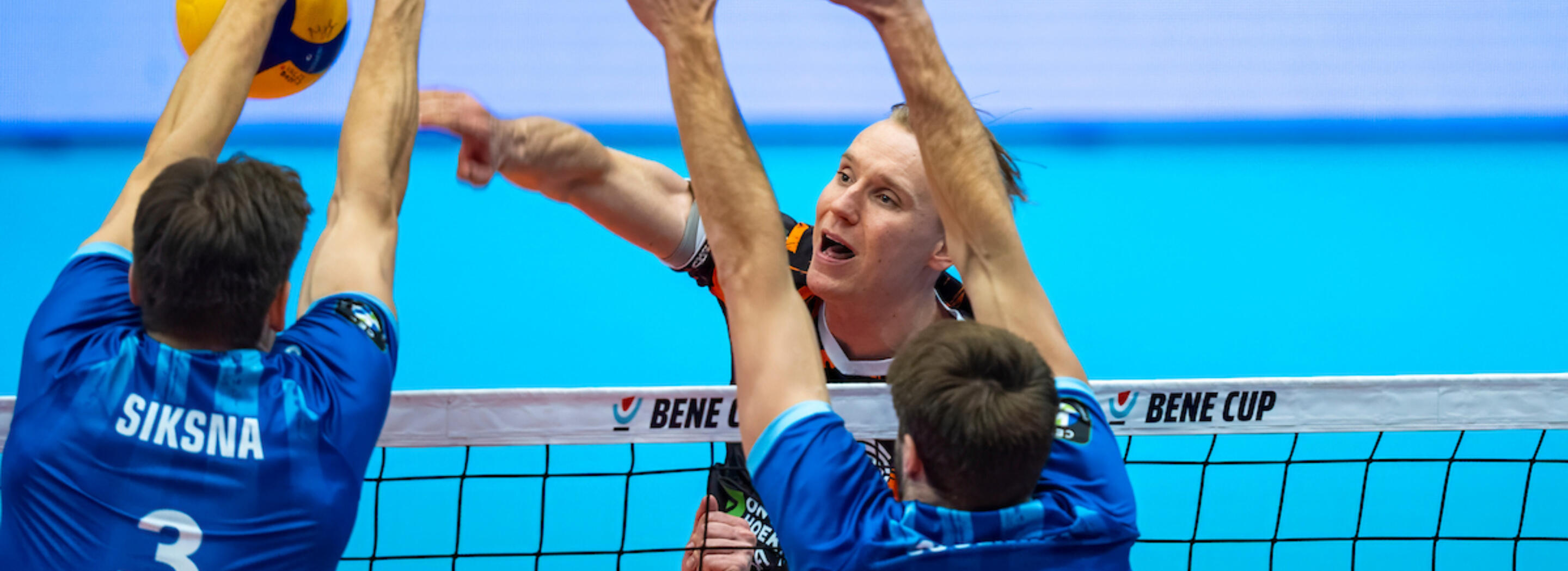 20251228 ori roe R2 04513